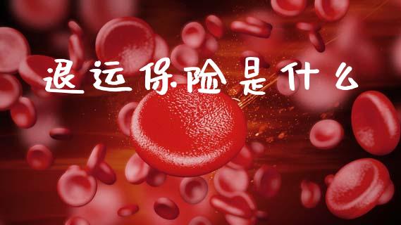 退运保险是什么_https://www.fcdydaikuan.com_黄金期货直播_第1张