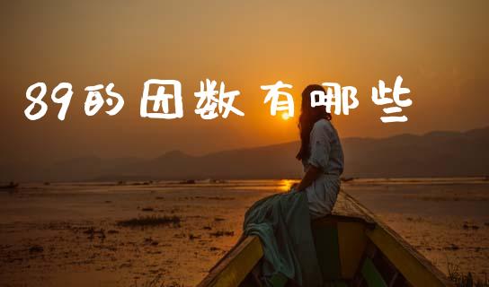 89的因数有哪些_https://www.fcdydaikuan.com_德指期货直播_第1张
