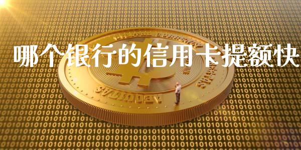 哪个银行的信用卡提额快_https://www.fcdydaikuan.com_德指期货直播_第1张