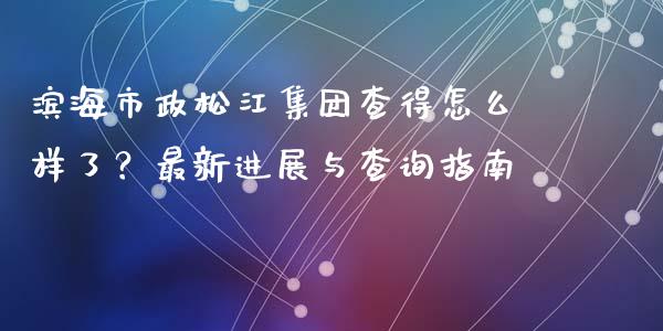 滨海市政松江集团查得怎么样了？最新进展与查询指南_https://www.fcdydaikuan.com_黄金期货直播_第1张