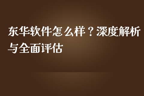 东华软件怎么样？深度解析与全面评估_https://www.fcdydaikuan.com_黄金期货直播_第1张