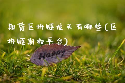 期货区块链龙头有哪些(区块链期权平台)_https://www.fcdydaikuan.com_恒指期货直播_第1张