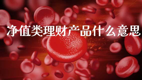 净值类理财产品什么意思_https://www.fcdydaikuan.com_德指期货直播_第1张