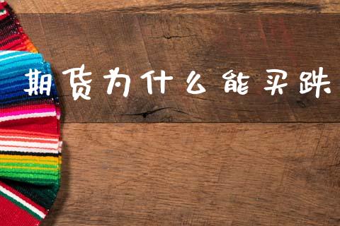 期货为什么能买跌_https://www.fcdydaikuan.com_恒指期货直播_第1张