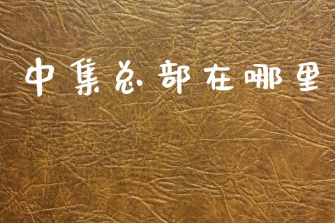 中集总部在哪里_https://www.fcdydaikuan.com_黄金期货直播_第1张