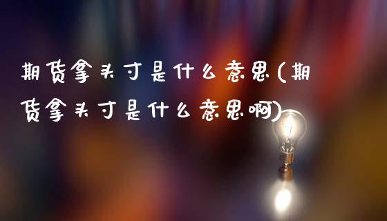 期货拿头寸是什么意思(期货拿头寸是什么意思啊)_https://www.fcdydaikuan.com_恒生指数直播室_第1张