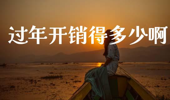 过年开销得多少啊_https://www.fcdydaikuan.com_恒指期货直播_第1张