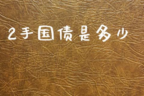 2手国债是多少_https://www.fcdydaikuan.com_恒生指数直播室_第1张