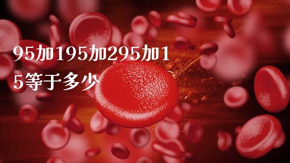 95加195加295加15等于多少_https://www.fcdydaikuan.com_德指期货直播_第1张