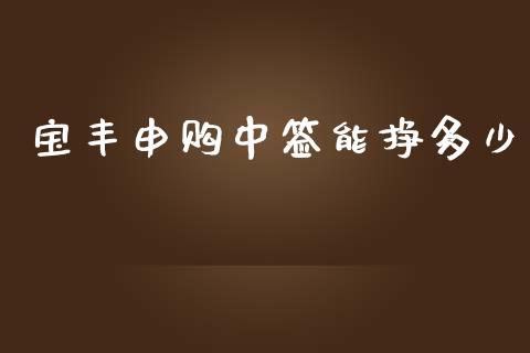 宝丰申购中签能挣多少_https://www.fcdydaikuan.com_德指期货直播_第1张