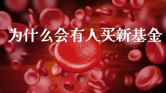 为什么会有人买新基金_https://www.fcdydaikuan.com_恒指期货直播_第1张