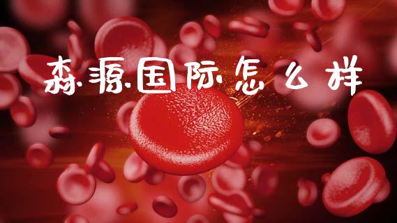 森源国际怎么样_https://www.fcdydaikuan.com_德指期货直播_第1张