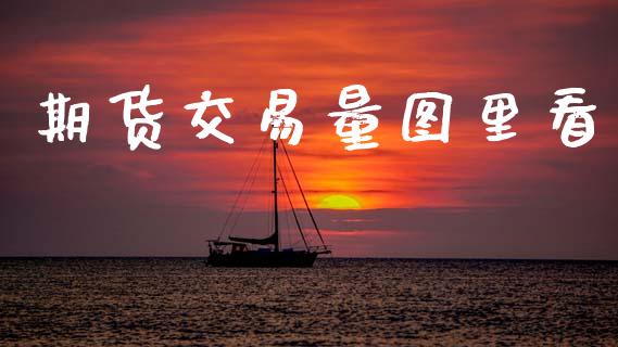 期货交易量图里看_https://www.fcdydaikuan.com_恒指期货直播_第1张