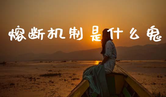 熔断机制是什么鬼_https://www.fcdydaikuan.com_黄金期货直播_第1张