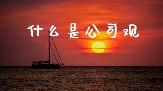 什么是公司观_https://www.fcdydaikuan.com_恒指期货直播_第1张