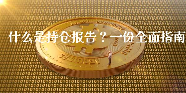 什么是持仓报告？一份全面指南_https://www.fcdydaikuan.com_德指期货直播_第1张