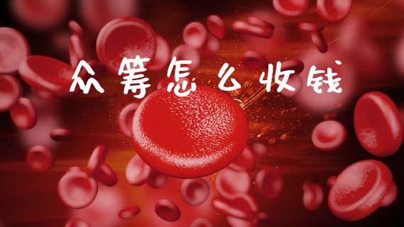 众筹怎么收钱_https://www.fcdydaikuan.com_德指期货直播_第1张