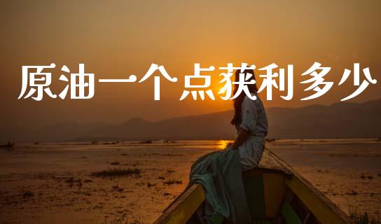 原油一个点获利多少_https://www.fcdydaikuan.com_德指期货直播_第1张