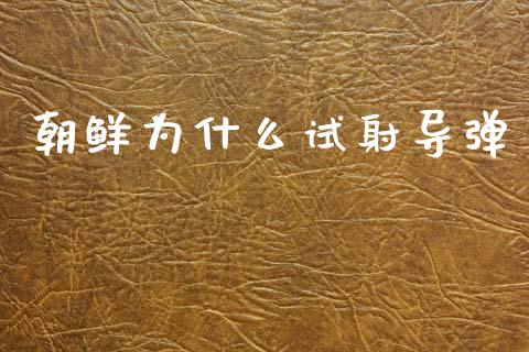 朝鲜为什么试射导弹_https://www.fcdydaikuan.com_恒生指数直播室_第1张