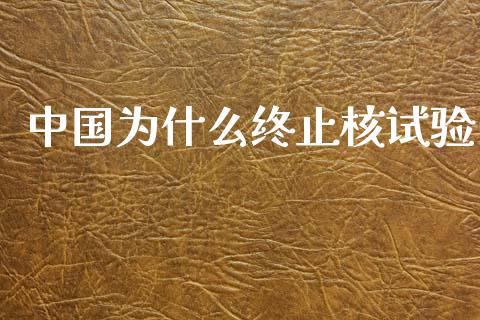 中国为什么终止核试验_https://www.fcdydaikuan.com_黄金期货直播_第1张