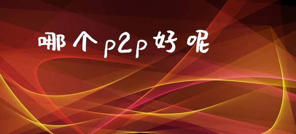 哪个p2p好呢_https://www.fcdydaikuan.com_恒指期货直播_第1张