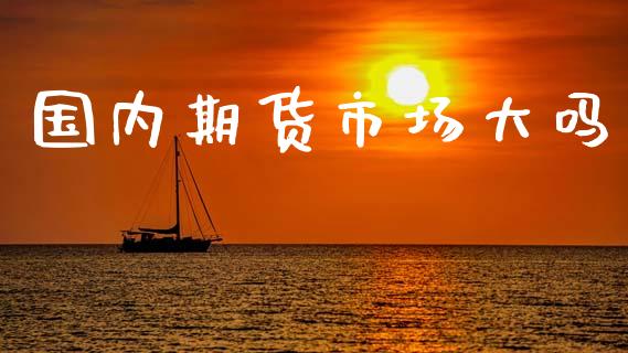 国内期货市场大吗_https://www.fcdydaikuan.com_恒指期货直播_第1张