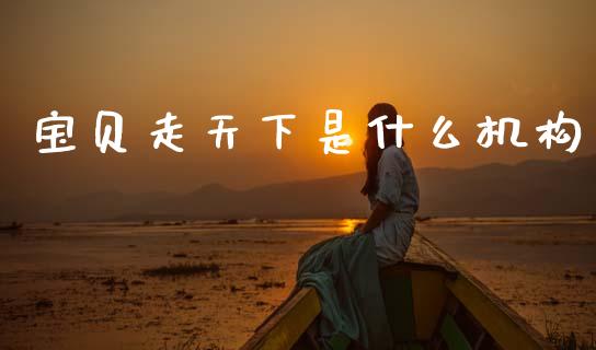 宝贝走天下是什么机构_https://www.fcdydaikuan.com_德指期货直播_第1张