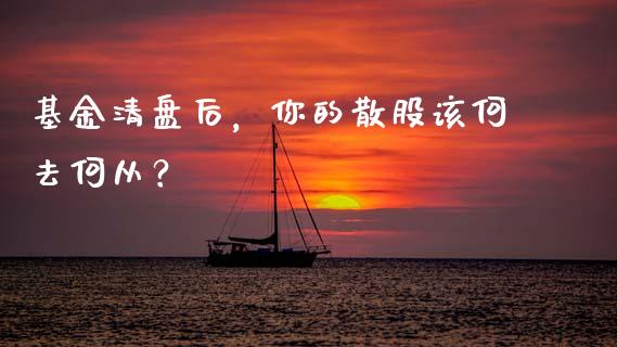 基金清盘后，你的散股该何去何从？_https://www.fcdydaikuan.com_黄金期货直播_第1张