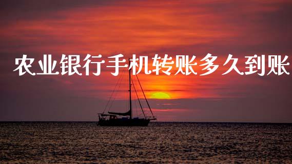 农业银行手机转账多久到账_https://www.fcdydaikuan.com_黄金期货直播_第1张