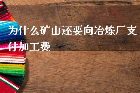 为什么矿山还要向冶炼厂支付加工费_https://www.fcdydaikuan.com_恒生指数直播室_第1张