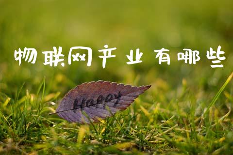物联网产业有哪些_https://www.fcdydaikuan.com_恒生指数直播室_第1张