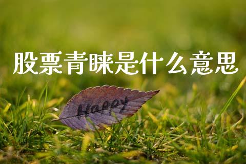 股票青睐是什么意思_https://www.fcdydaikuan.com_黄金期货直播_第1张