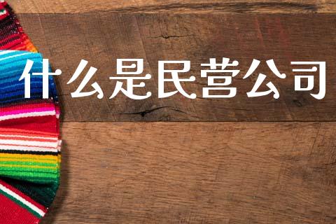 什么是民营公司_https://www.fcdydaikuan.com_恒生指数直播室_第1张