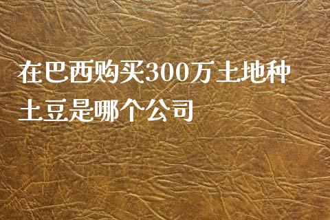 在巴西购买300万土地种土豆是哪个公司_https://www.fcdydaikuan.com_恒指期货直播_第1张