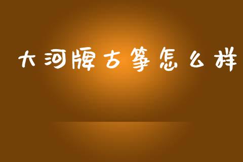 大河牌古筝怎么样_https://www.fcdydaikuan.com_德指期货直播_第1张