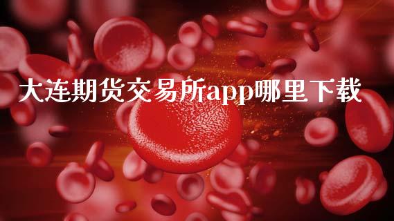 大连期货交易所app哪里下载_https://www.fcdydaikuan.com_恒生指数直播室_第1张