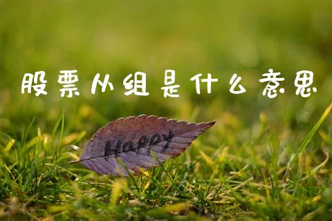 股票从组是什么意思_https://www.fcdydaikuan.com_恒生指数直播室_第1张