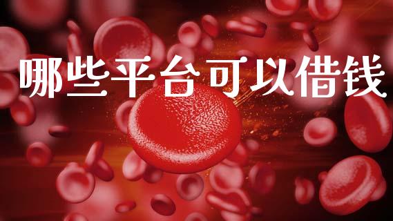 哪些平台可以借钱_https://www.fcdydaikuan.com_黄金期货直播_第1张