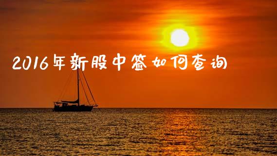 2016年新股中签如何查询_https://www.fcdydaikuan.com_恒指期货直播_第1张