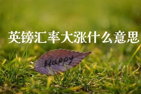英镑汇率大涨什么意思_https://www.fcdydaikuan.com_恒生指数直播室_第1张
