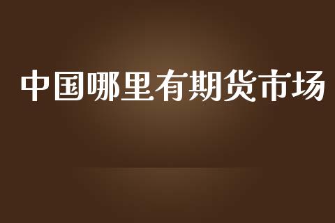 中国哪里有期货市场_https://www.fcdydaikuan.com_恒指期货直播_第1张