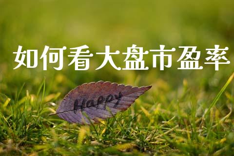 如何看大盘市盈率_https://www.fcdydaikuan.com_恒生指数直播室_第1张