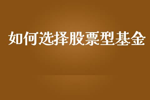 如何选择股票型基金_https://www.fcdydaikuan.com_恒指期货直播_第1张