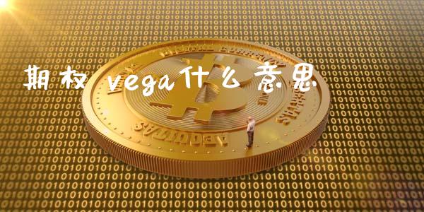 期权 vega什么意思_https://www.fcdydaikuan.com_德指期货直播_第1张