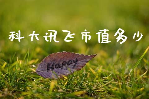 科大讯飞市值多少_https://www.fcdydaikuan.com_德指期货直播_第1张