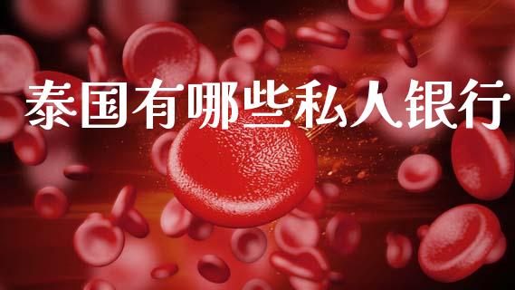 泰国有哪些私人银行_https://www.fcdydaikuan.com_德指期货直播_第1张