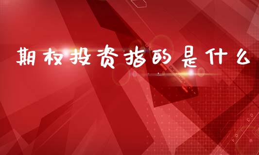 期权投资指的是什么_https://www.fcdydaikuan.com_恒生指数直播室_第1张