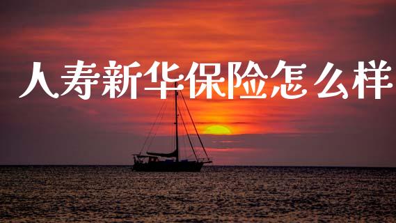 人寿新华保险怎么样_https://www.fcdydaikuan.com_黄金期货直播_第1张
