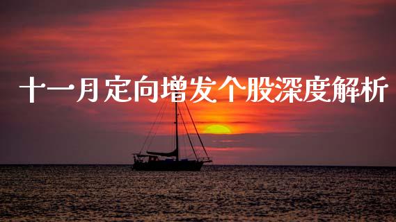 十一月定向增发个股深度解析_https://www.fcdydaikuan.com_恒生指数直播室_第1张