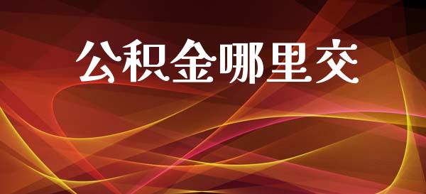 公积金哪里交_https://www.fcdydaikuan.com_黄金期货直播_第1张